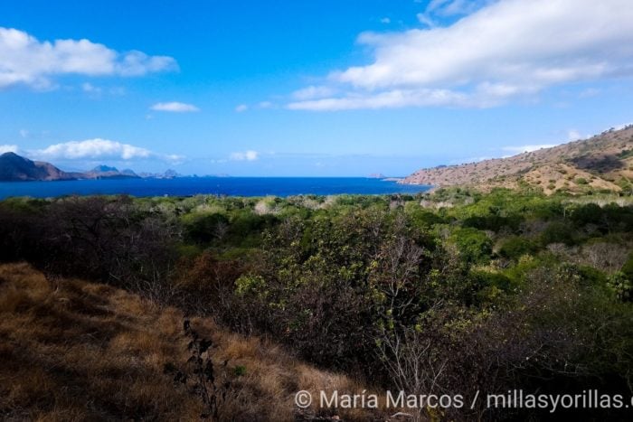 parque nacional flores maria marcos