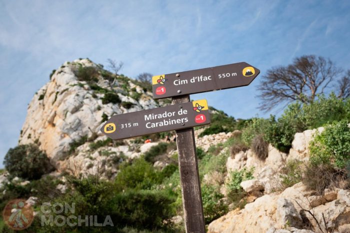 Elige tu ruta