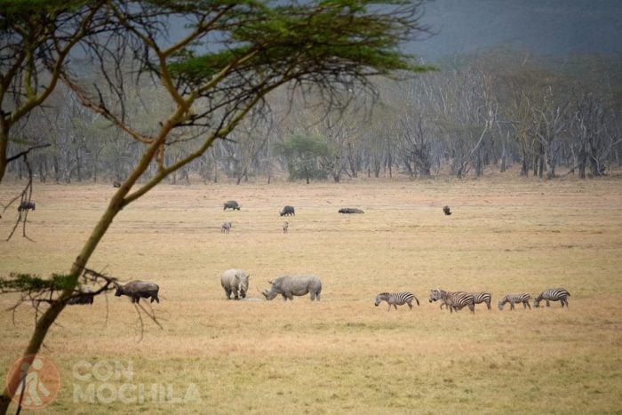 Lago Nakuru