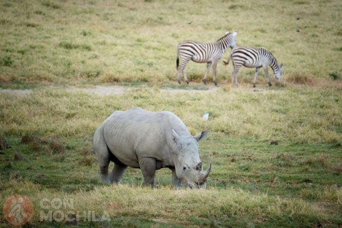 Algunos de lso animales que se pueden ver