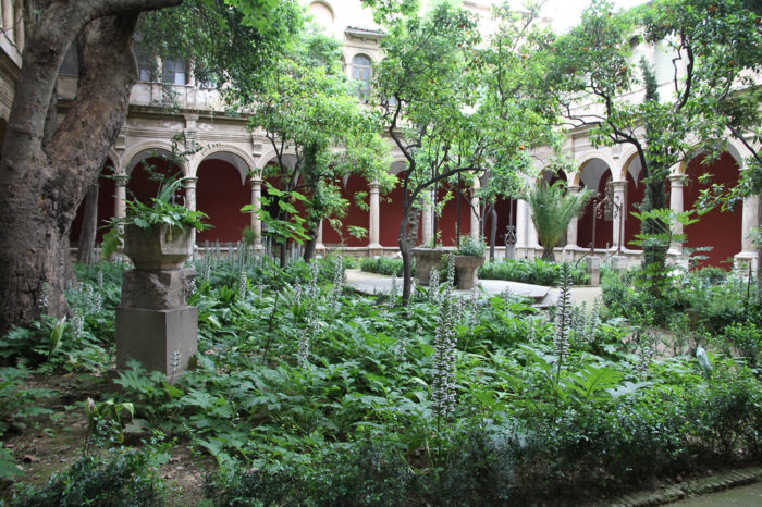 Centro del Carmen Valencia