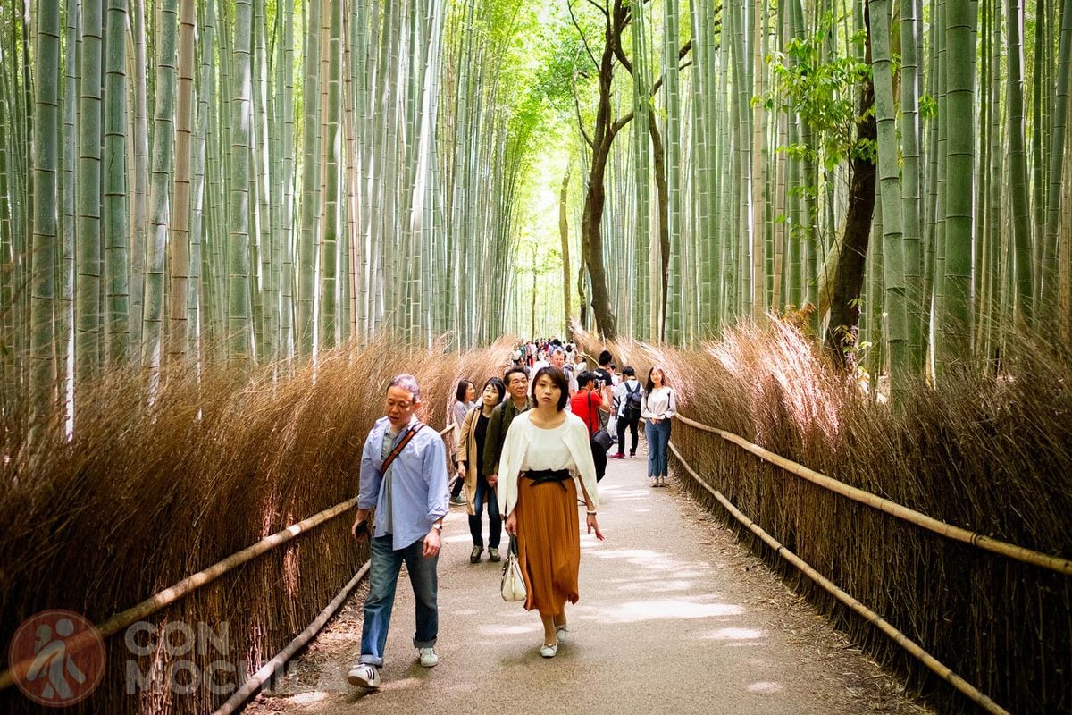 ARASHIYAMA 06