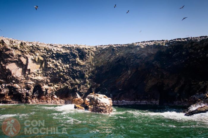 Bienvenidos a las Islas Ballestas