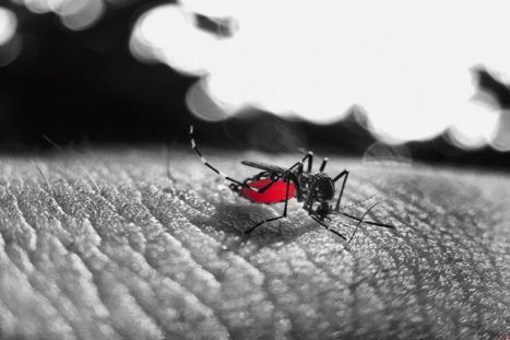 El mundo está viviendo otras epidemias, lo que pasa que no lo oímos tanto porque afectan a los países tropicales.