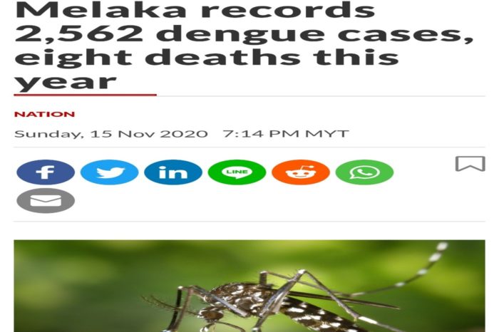 Chikungunya mosquito 6
