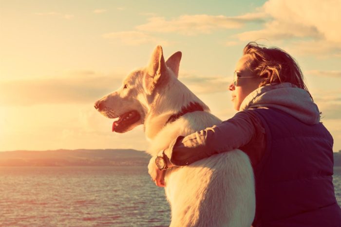 Relaciones entre humanos y perros