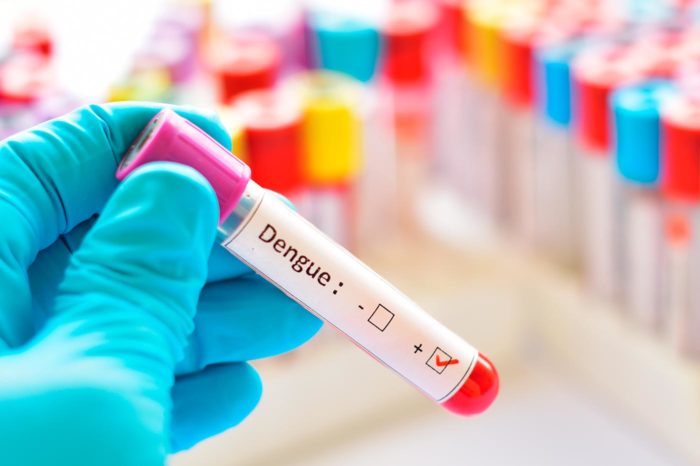 dengue