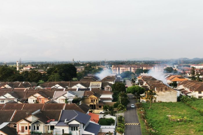 fumigacion melaka mosquito 3