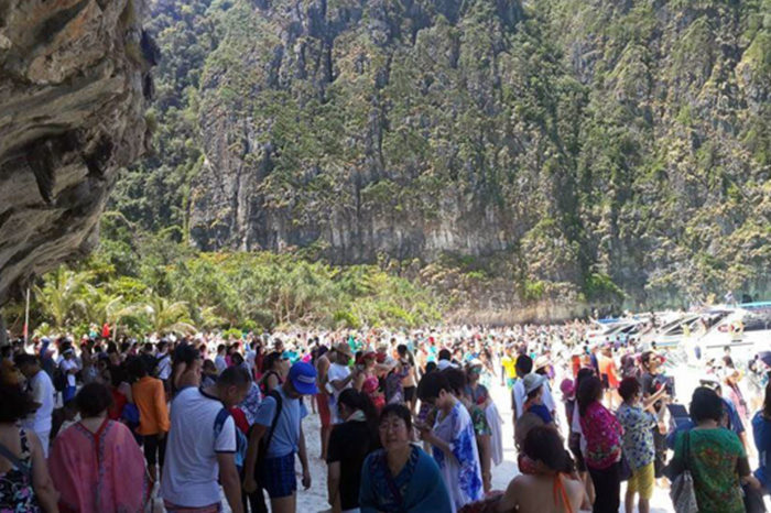 maya bay