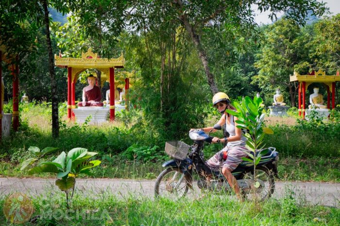 Lumbini garden