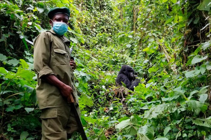 Virunga National Park
