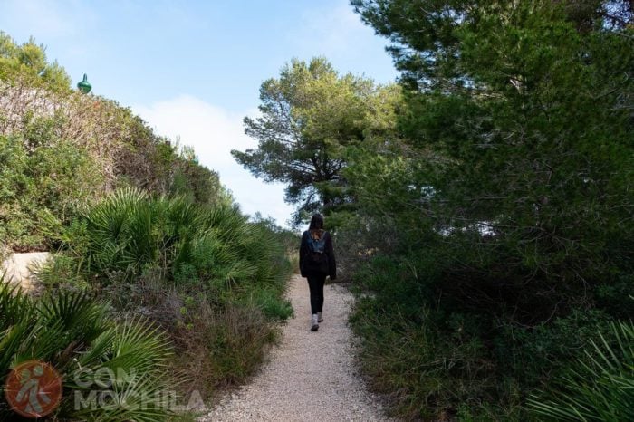 Llegando al mirador La Falzia