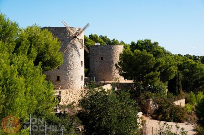 Els molins