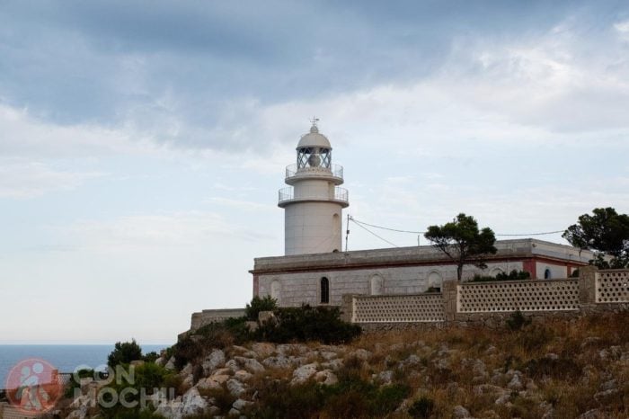 Faro