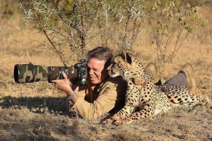 fotografos sorprendidos animales 1 960x550 2