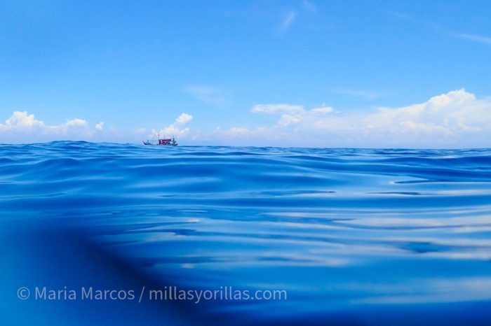 La inmensidad azul en nuestro Planeta Agua
