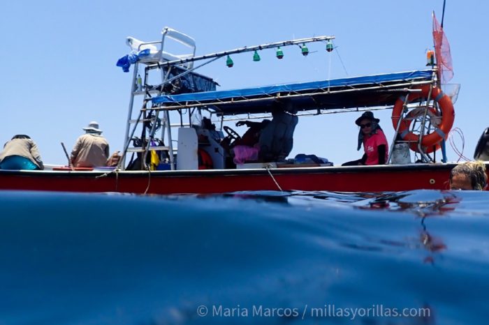 Nuestro barco de pesca transformado en un laboratorio flotante
