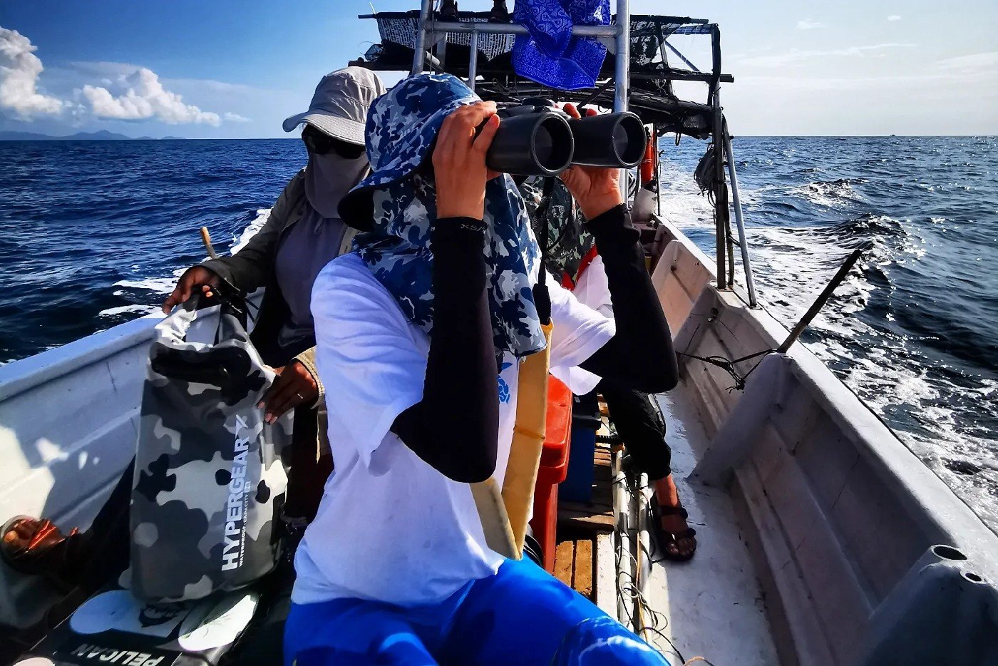 Buscando ballenas