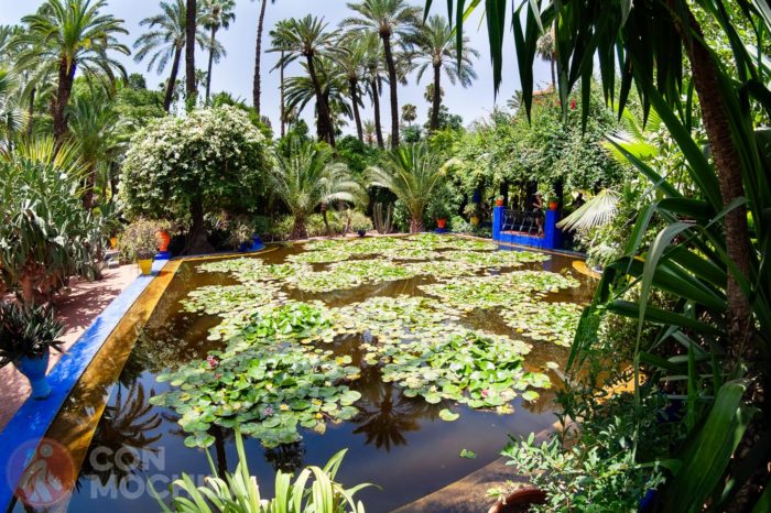 El Jardín Majorelle