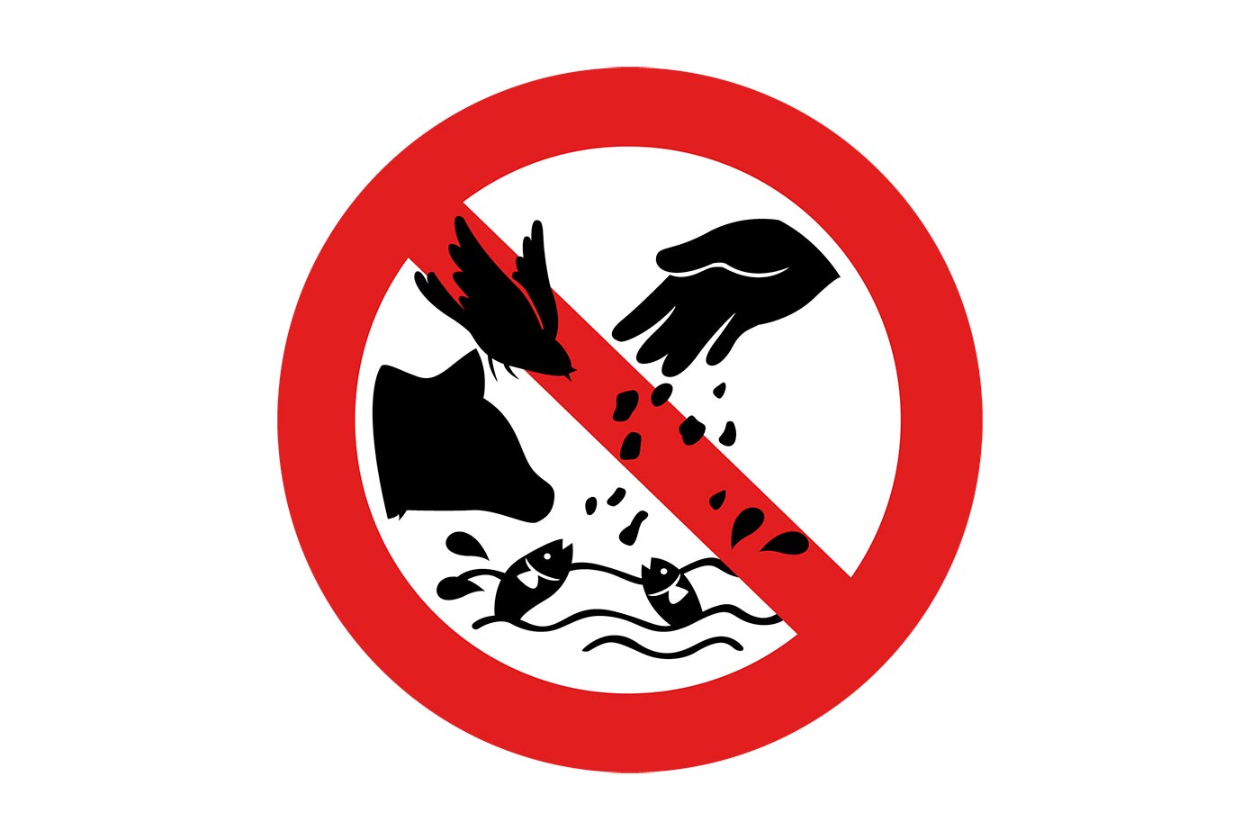 Do not feed wildlife