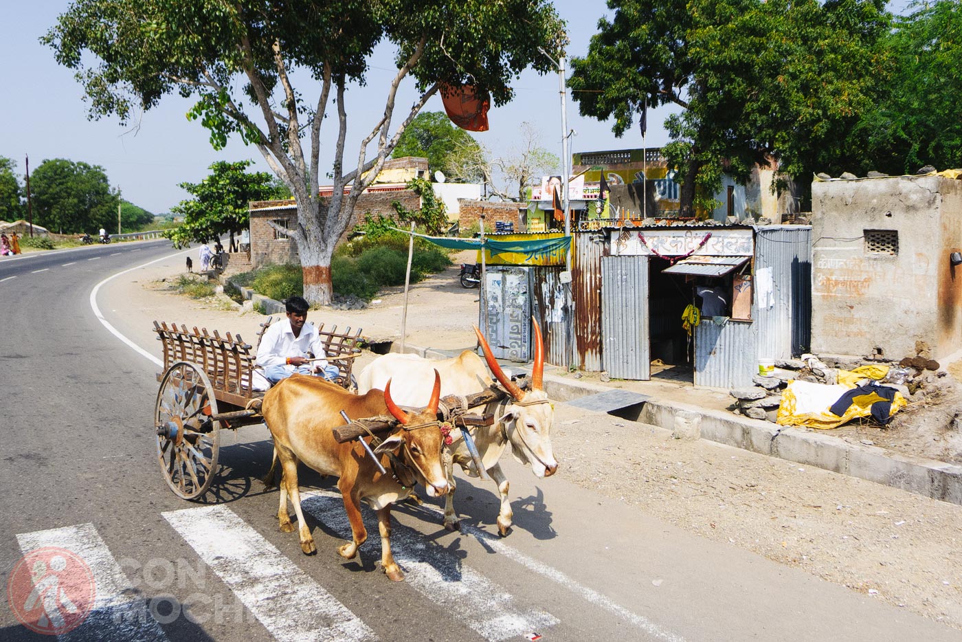La crónica cósmica. Aquel tercer viaje a la India