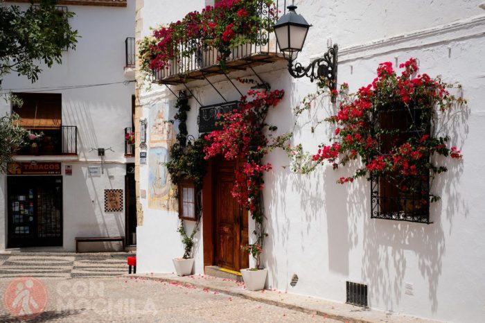 Flores por todas partes