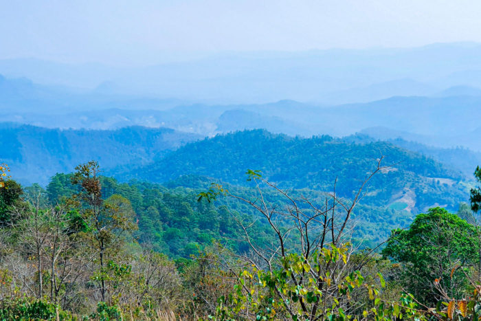 montana mae hong son