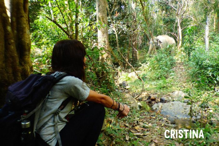 Cristina
