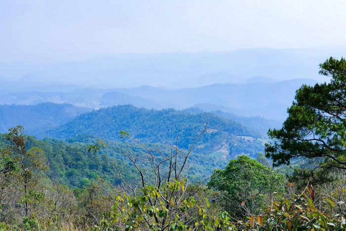 doi kio lom