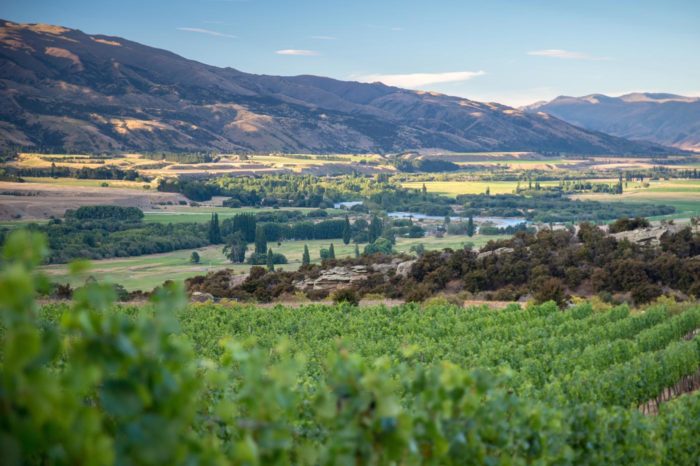 Central Otago
