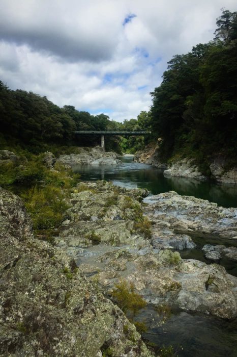 El río Pelorus