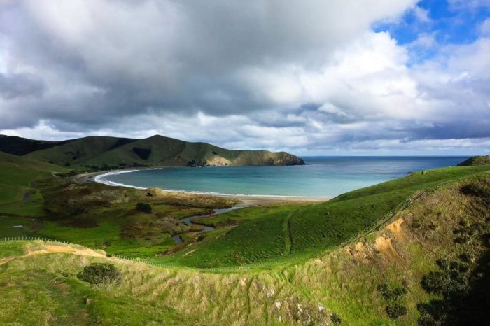Vistas a la sobrecogedora linea costera de Coromandel