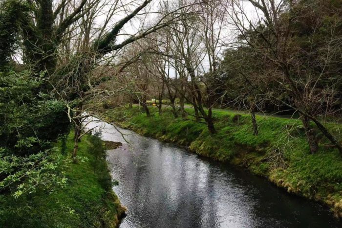 Paseo por Karangahake Gorge Historic Walkway