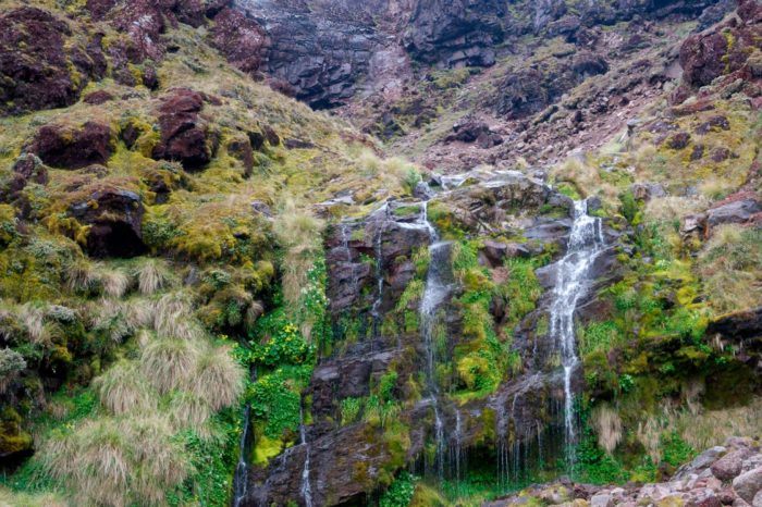 Tongariro Alpine Crossing tours