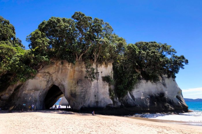 Cathedral Cove