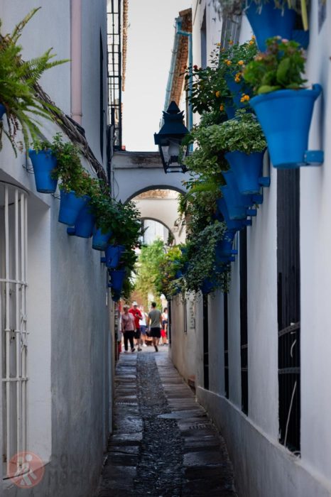 Calleja de las flores