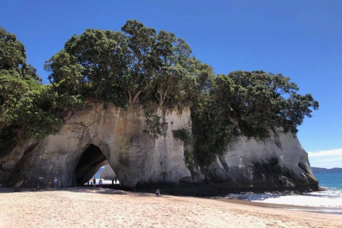 Cathedral Cove