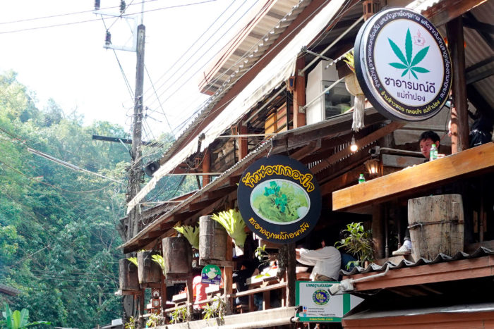 marihuana mae kampong