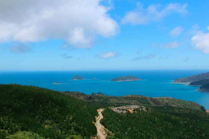 Uno de los recorridos más hermosos de Marlborough Sounds
