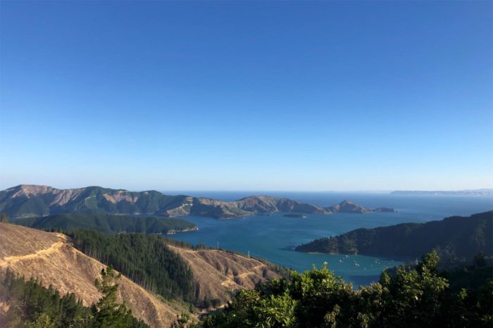 Picton a tus pies, el puerto un poco más alejado y ya, al fondo, los impresionantes sonidos de Marlborough