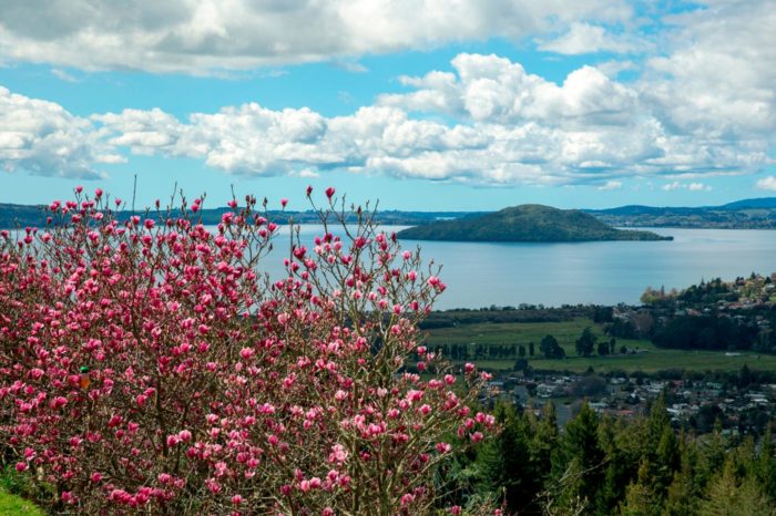 Te Mokoia Island en el lago Rotorua