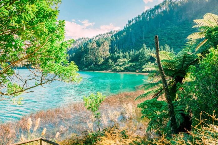 El lago verde