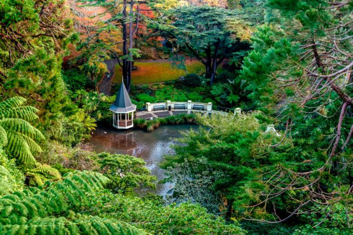 El hermoso Duck Pond