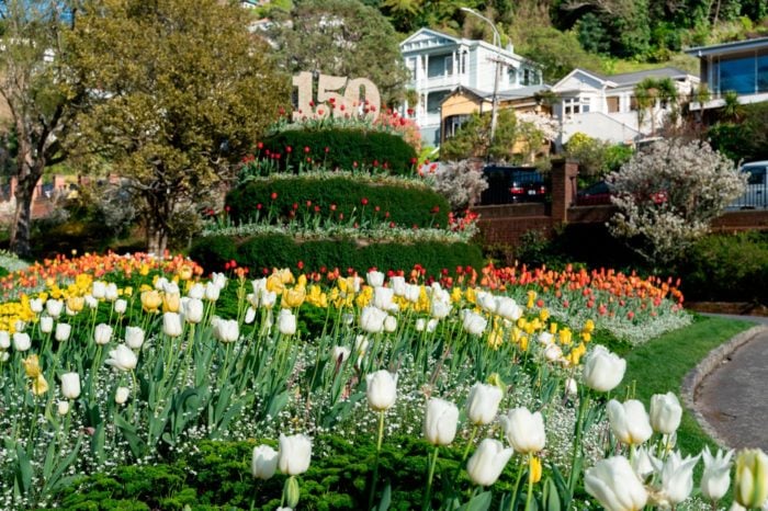 Los jardines botánicos en todo su esplendor