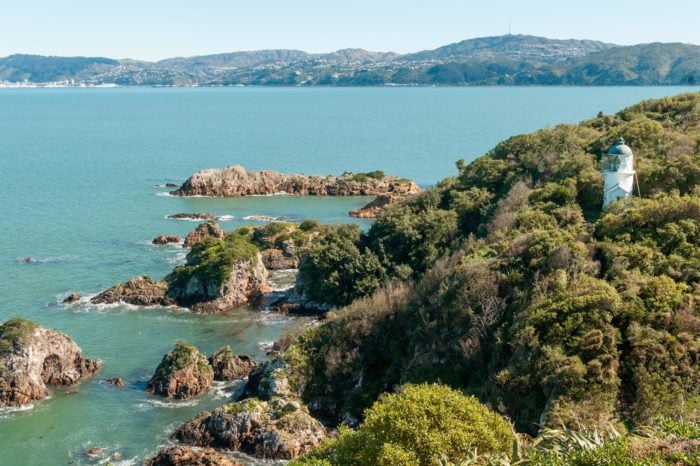 Naturaleza en Matiu/Somes Island