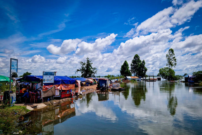 arrozal camboya