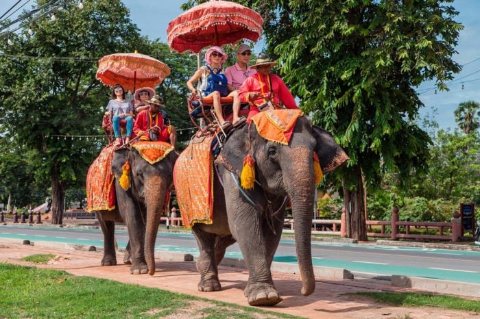 En lugares como Ayutthaya, los elefantes se usan para pasear a los turistas entre los templos