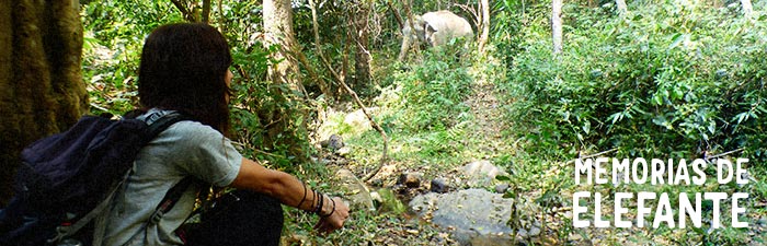 Memorias de elefante, por Cristina Palacio