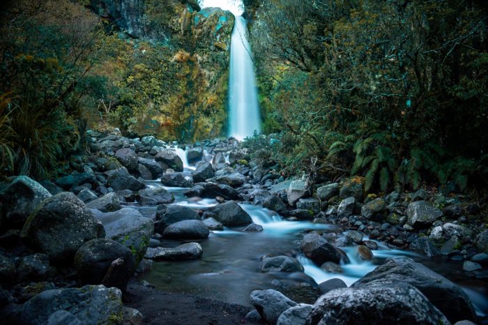 Dawson Falls