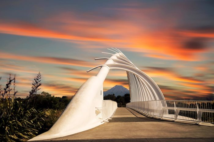 Te Rewa Rewa Bridge
